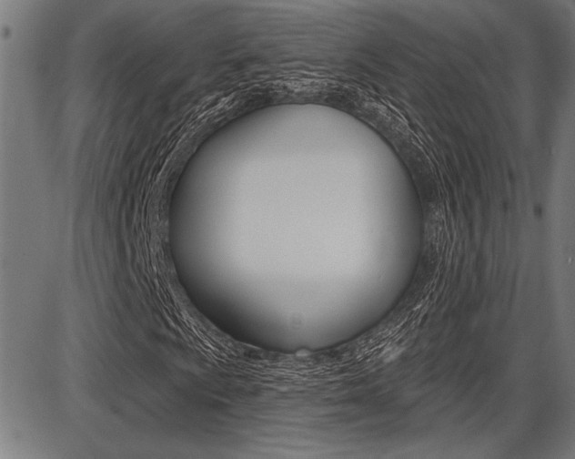 X0000087701009200705040846