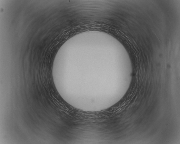 X0000087701010200705040846