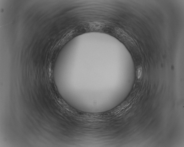 X0000087701011200705040846