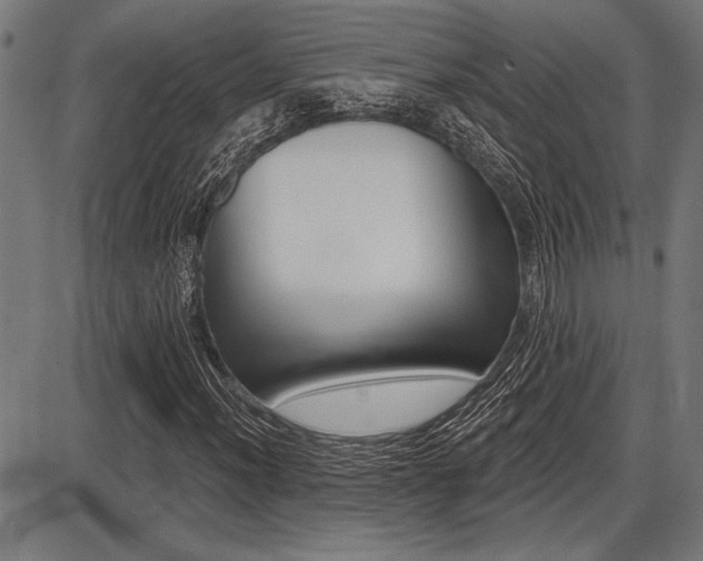 X0000087701012200705040846