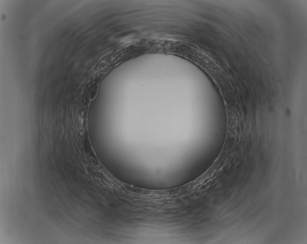 X0000087701013200705040846