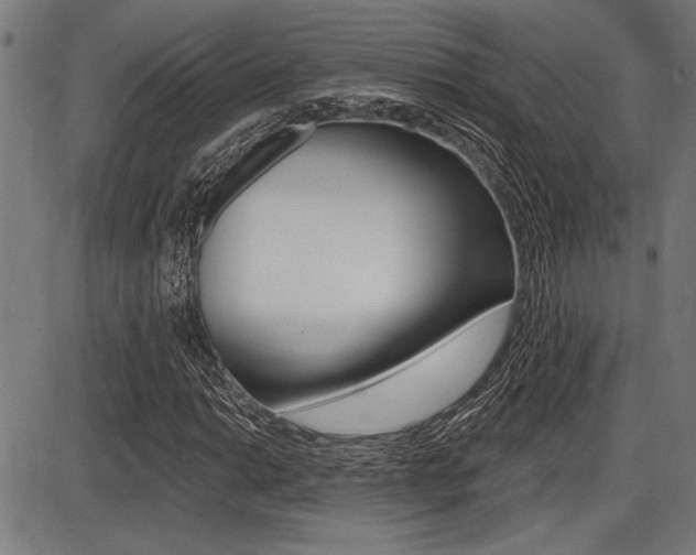 X0000087701014200705040846