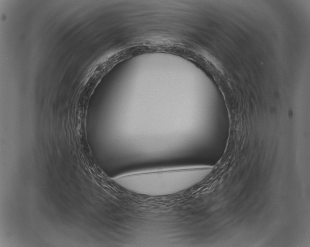 X0000087701016200705040846