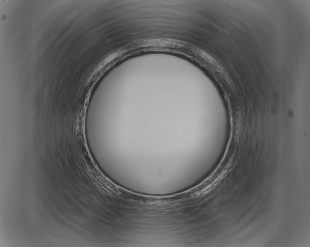 X0000087701017200705040846