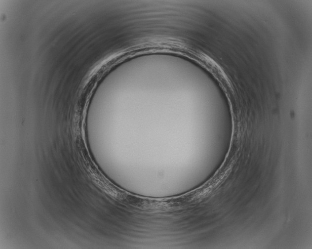 X0000087701019200705040846