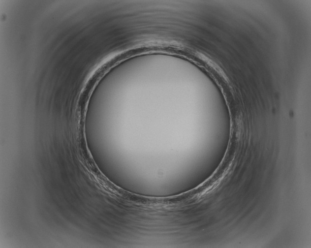 X0000087701021200705040846