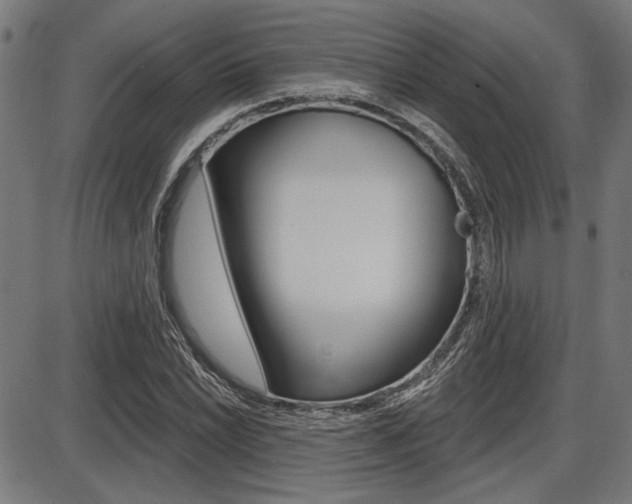 X0000087701022200705040846