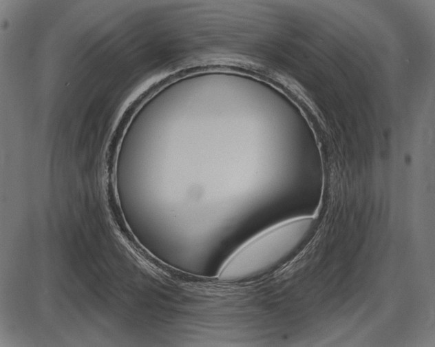 X0000087701024200705040846