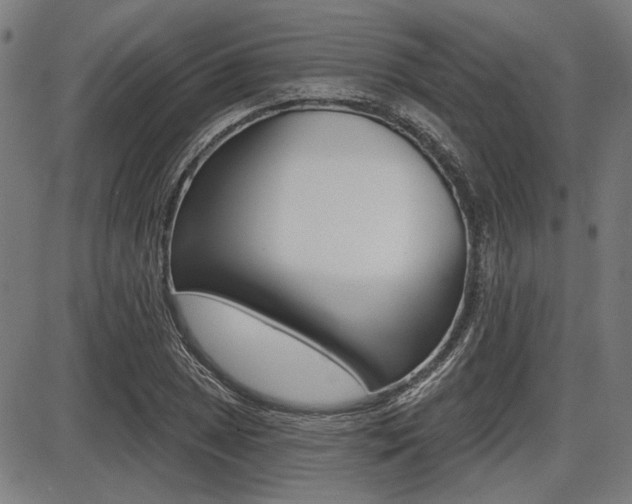 X0000087701025200705040846