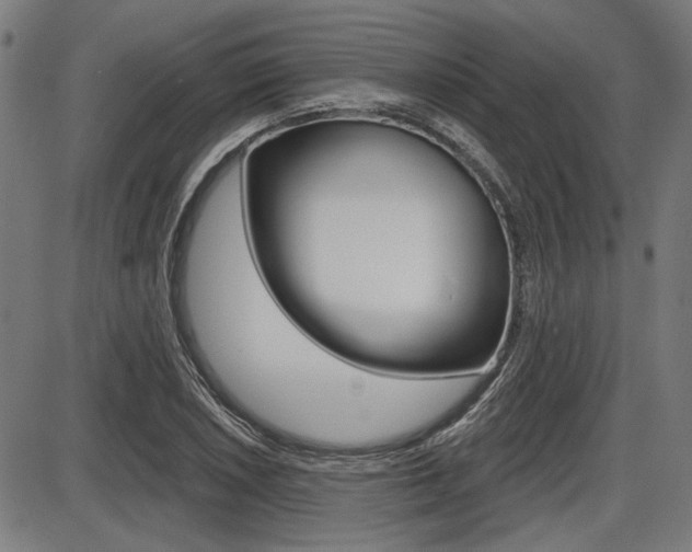 X0000087701026200705040846