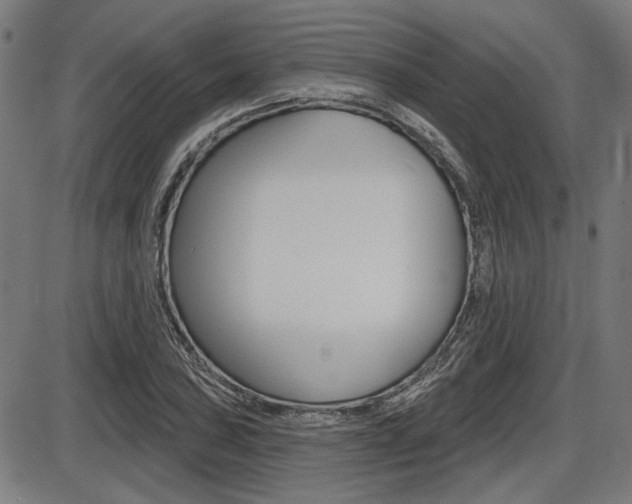 X0000087701027200705040846