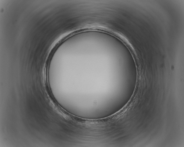 X0000087701032200705040846