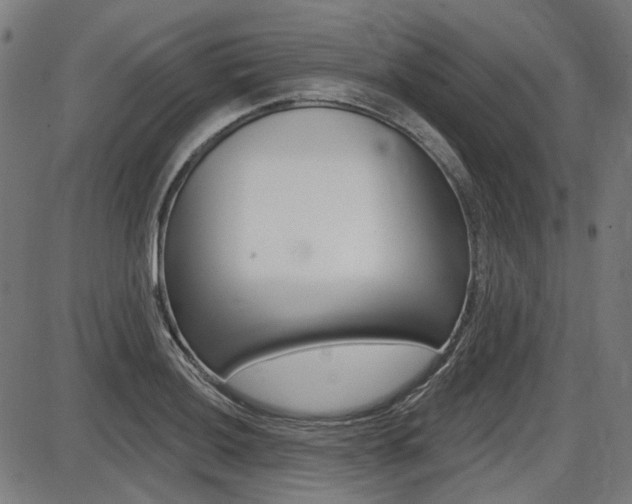 X0000087701036200705040846