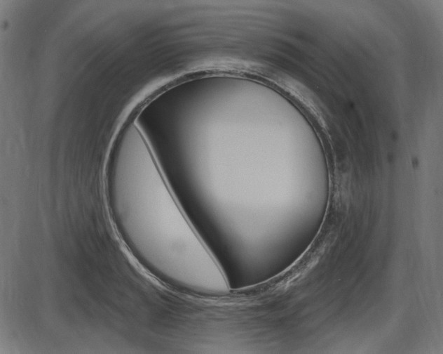 X0000087701037200705040846