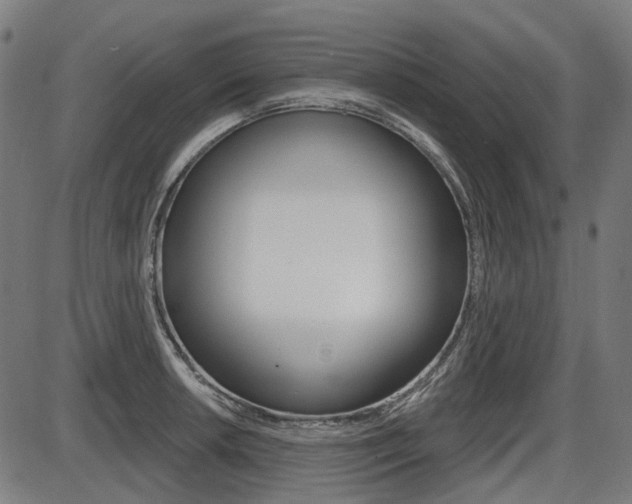 X0000087701042200705040846