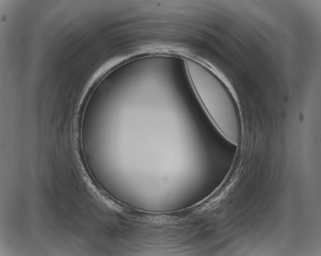 X0000087701045200705040846