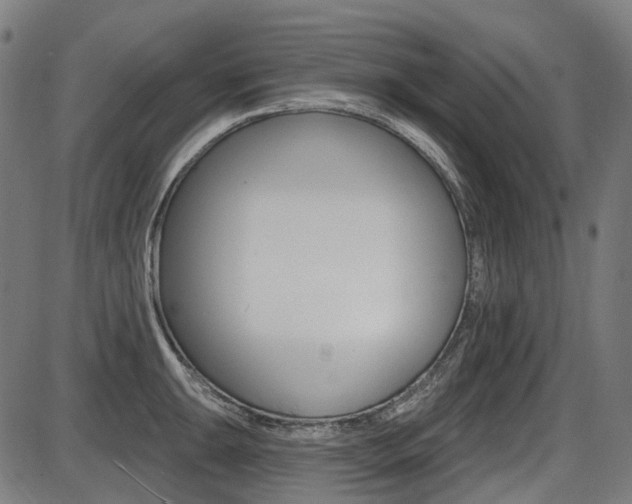 X0000087701047200705040846
