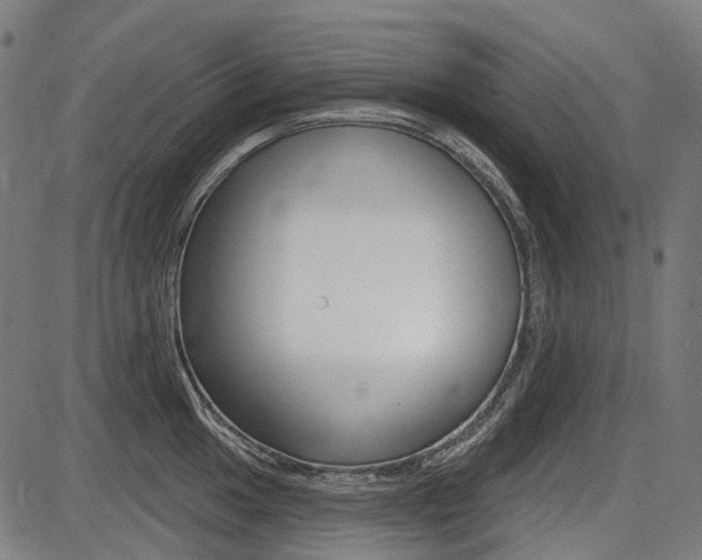 X0000087701049200705040846