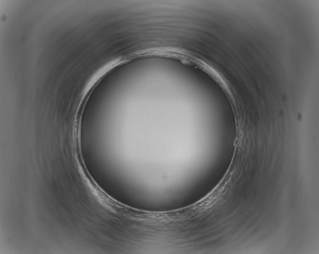 X0000087701050200705040846