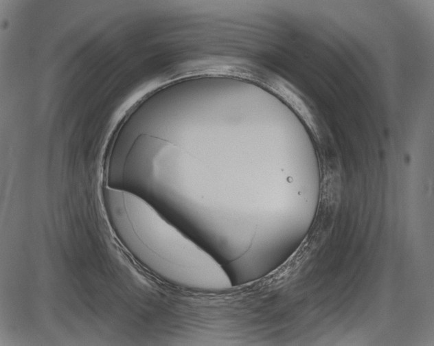 X0000087701051200705040846