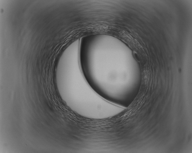 X0000087701057200705040846