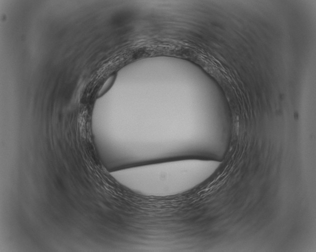 X0000087701059200705040845