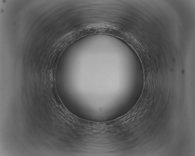 X0000087701062200705040845