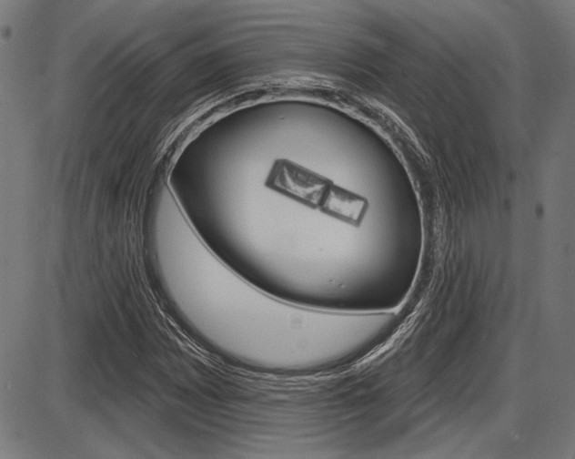 X0000087701065200705040845