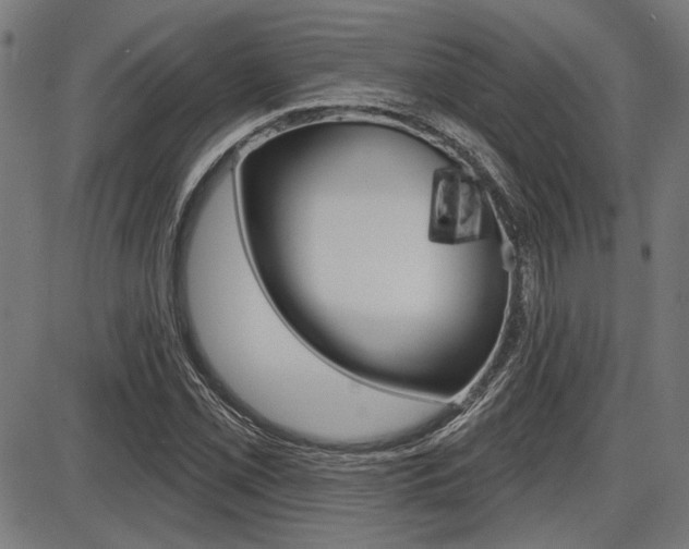 X0000087701069200705040845
