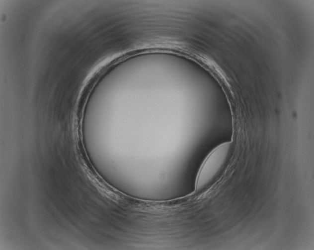 X0000087701072200705040845