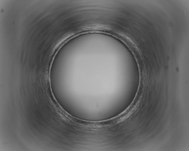 X0000087701073200705040845