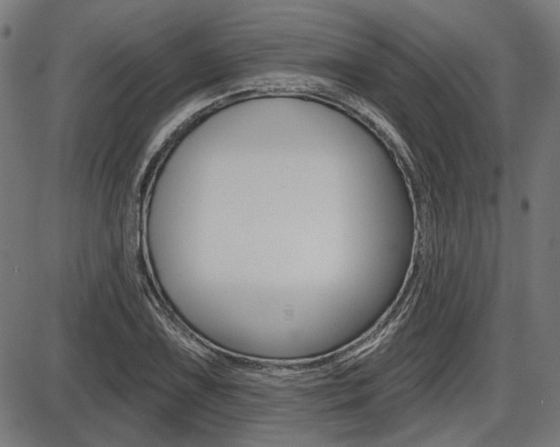 X0000087701075200705040845