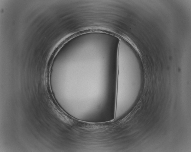 X0000087701076200705040845