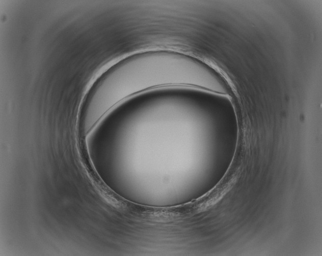 X0000087701077200705040845