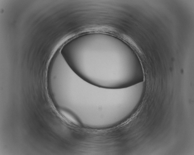 X0000087701079200705040845