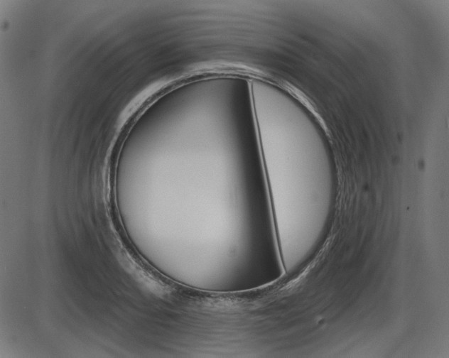 X0000087701082200705040845