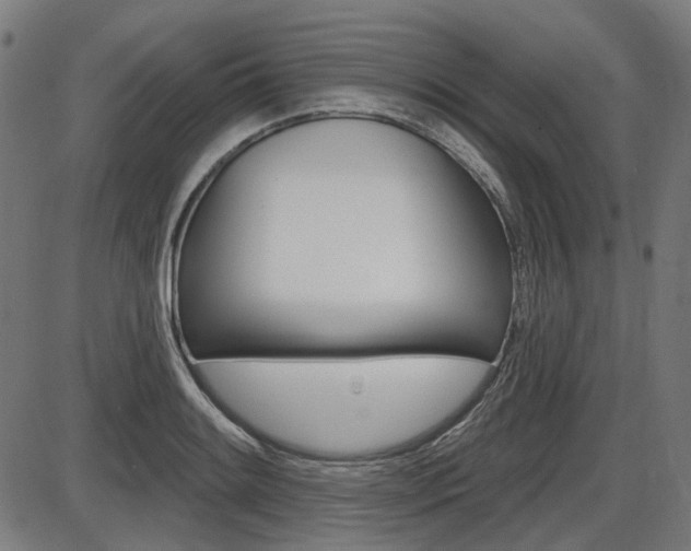 X0000087701084200705040845