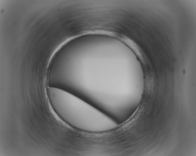 X0000087701100200705040845