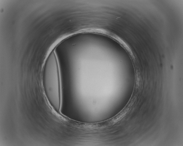 X0000087701102200705040845