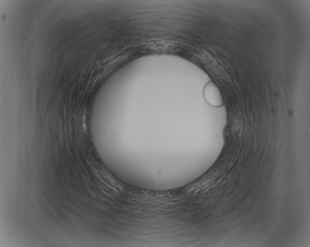 X0000087701106200705040844
