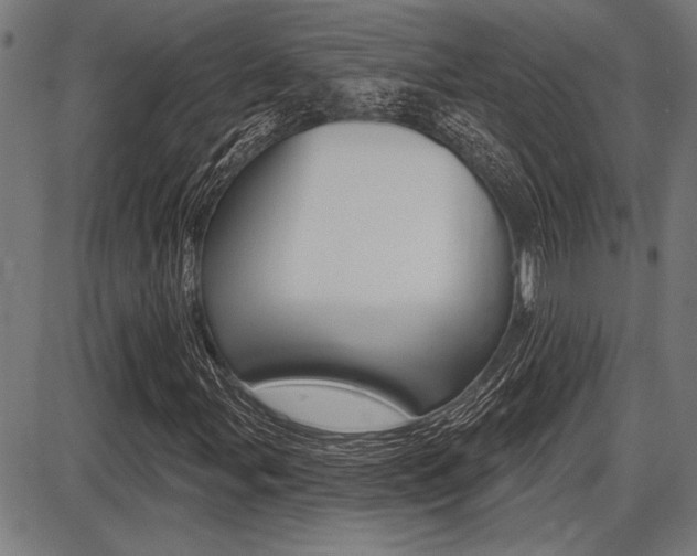 X0000087701107200705040844
