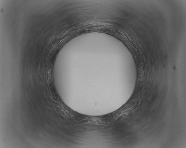 X0000087701109200705040844