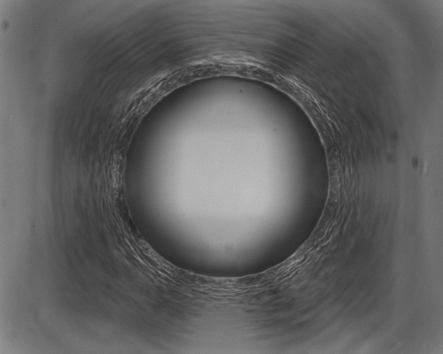 X0000087701110200705040844