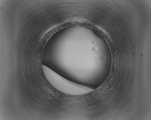 X0000087701112200705040844