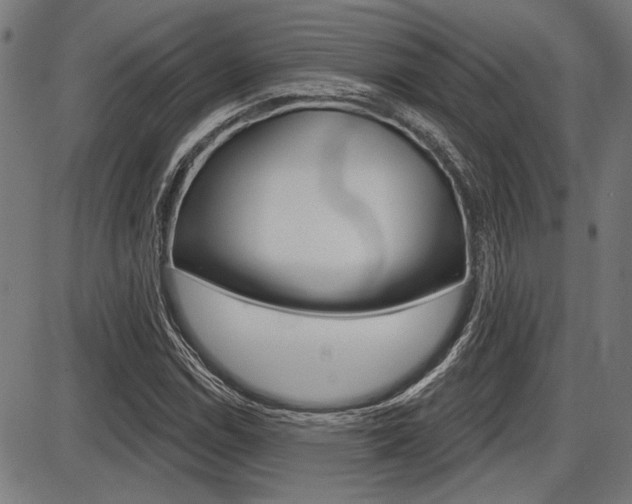 X0000087701114200705040844