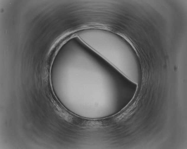 X0000087701115200705040844