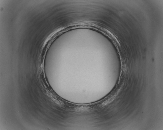 X0000087701117200705040844