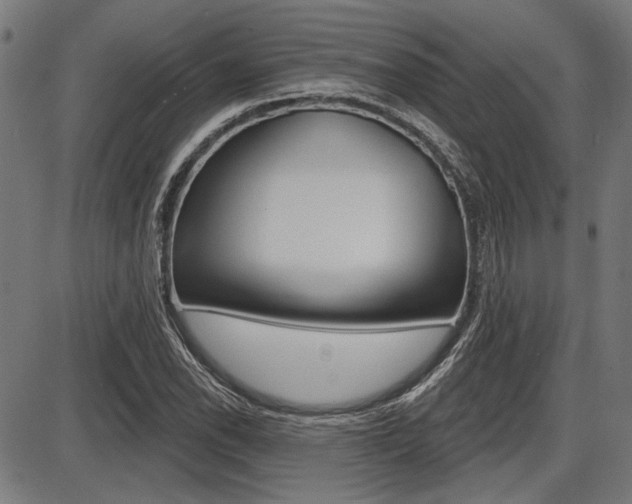 X0000087701118200705040844