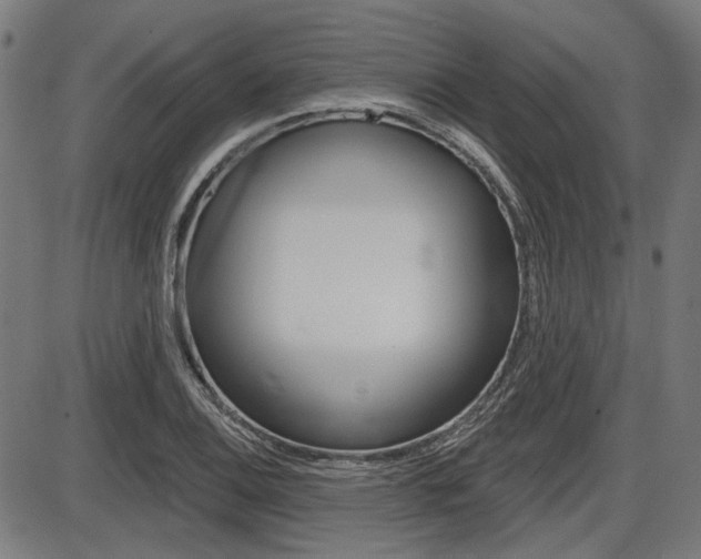X0000087701124200705040844