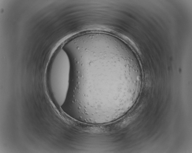 X0000087701125200705040844